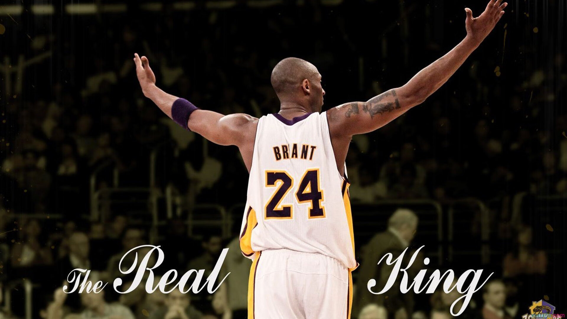 开云体育官网下载安装-全明星赛直播抢先看，明星球员首次联袂亮相，全明星赛直播视频